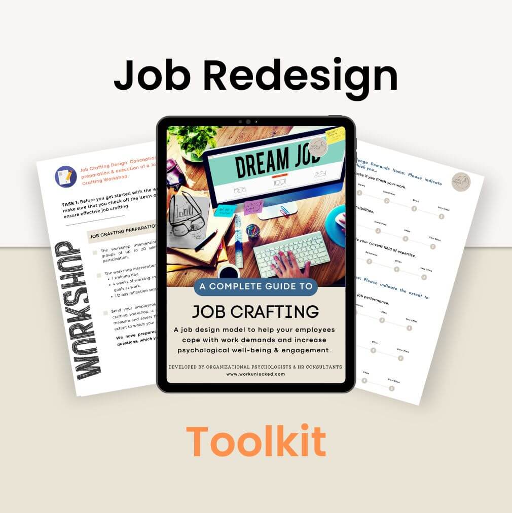 Job Redesign Toolkit - Main Product Picture