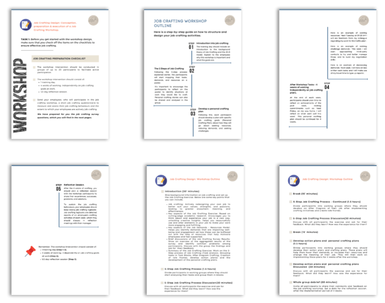 Job Redesign Workshop Guide